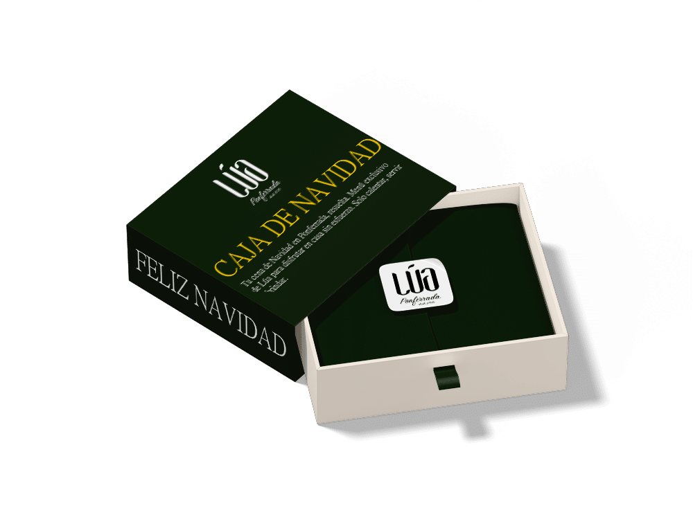 MOCKUP LUJO NAVIDAD LUA PONFERRADA